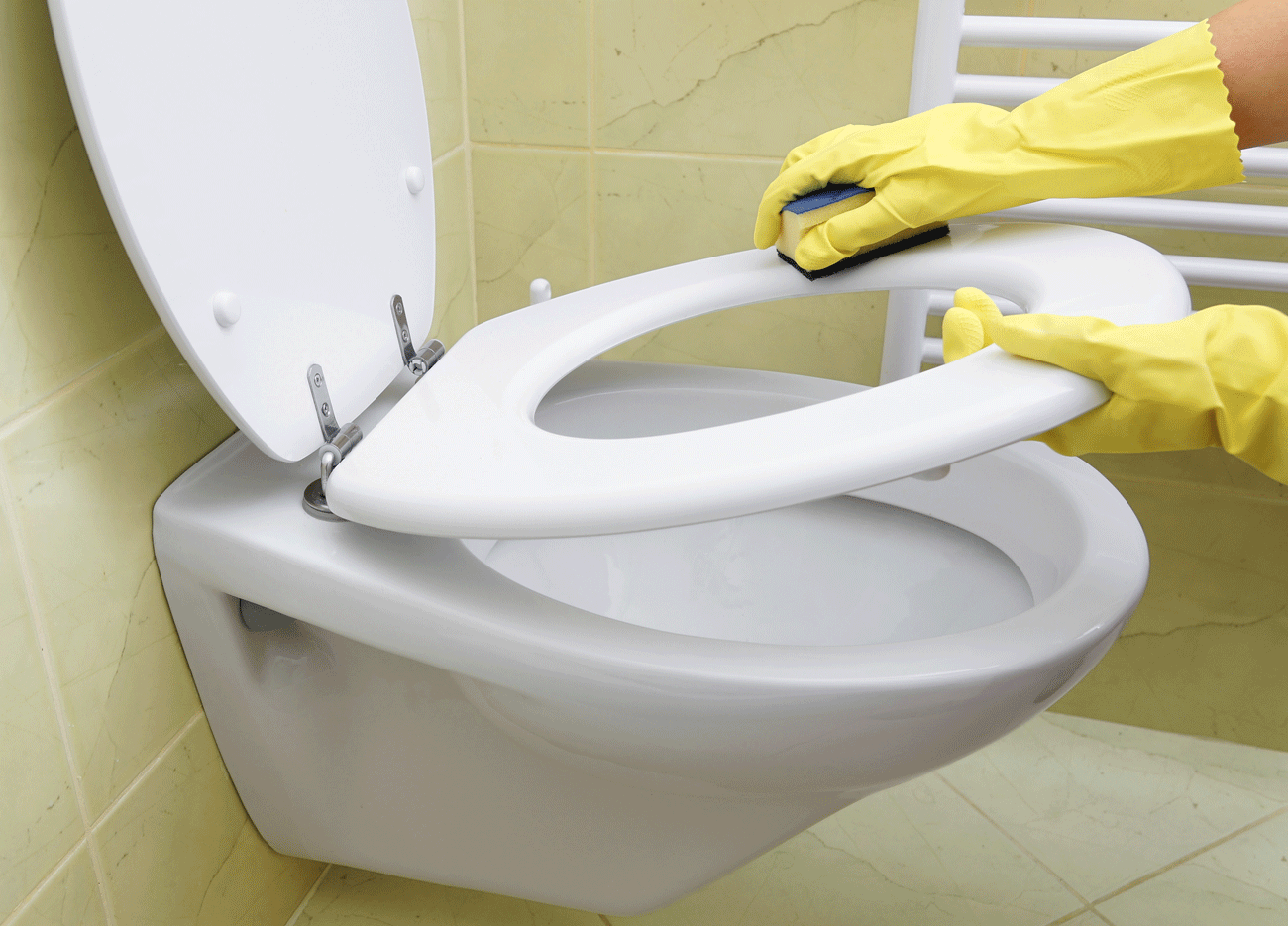 Toilet Cleaning